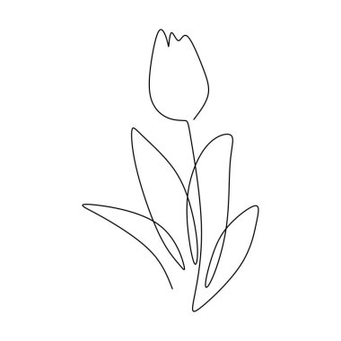 Lale çiçeği aralıksız bir çizgi çiziyor. Çizgi çizimi. Vektör illüstrasyonu izole edildi. Minimalist tasarım elle çizilmiş.