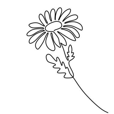 Papatya çiçeği sürekli bir çizgi çiziyor. Vektör illüstrasyonu izole edildi. Minimalist tasarım elle çizilmiş.