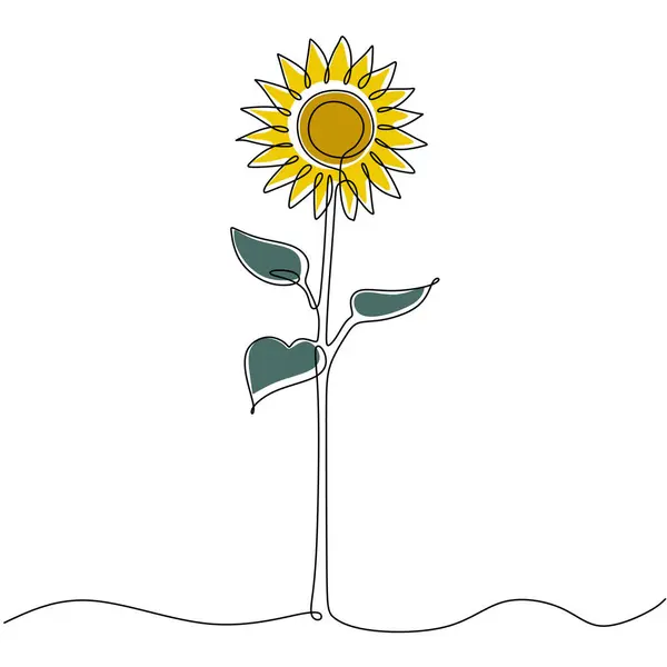 Line art sunflower flower. Continuous one single outline. Vector illustration isolated. Minimalist design handdrawn.