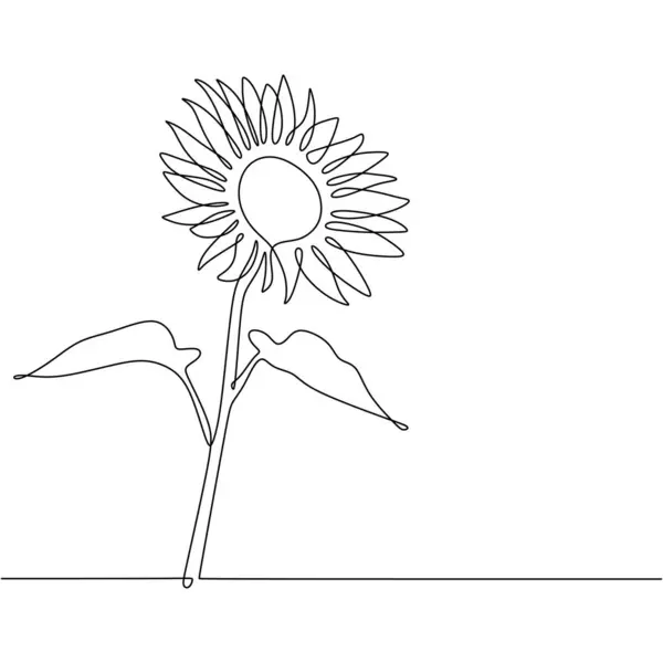 Line art sunflower flower. Continuous one single outline. Vector illustration isolated. Minimalist design handdrawn.