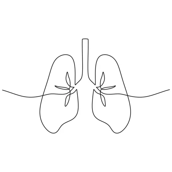 Akciğerler bir çizgi çiziyor. İnsan anatomisi organının solunumu.