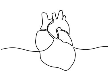 İnsan kalbi bir çizgi vektör çizimi. Vücut anatomisi kesintisiz sanat çizimi.