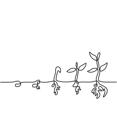 Bitki yetiştirme aşamalarının sürekli çizimi. Tek el büyüyen eko konsepti fışkırtırken çizildi.