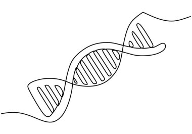 Bir DNA sembolünün sürekli çizimi. Genetik ve biyolojinin minimalist bir temsili. Vektör illüstrasyonu.