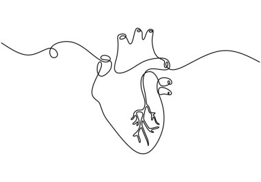 İnsan kalbi aralıksız çizim yapar. Sağlık sigortası konsepti. Beyaz arkaplanda izole edilmiş vektör illüstrasyon minimalisti.