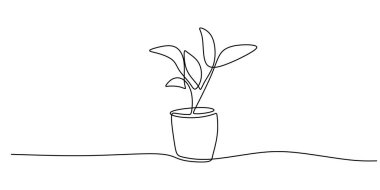 Sürekli bir ev bitkisi çizimi. Kişisel gelişimin basit bir objesi, sağlık koçluğu malzemesi ya da çevre dostu markalaşma için ideal.