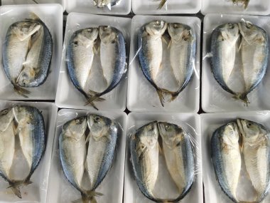 Taze uskumrular (Decapterus) ıslak pazarda satılık paketler halinde