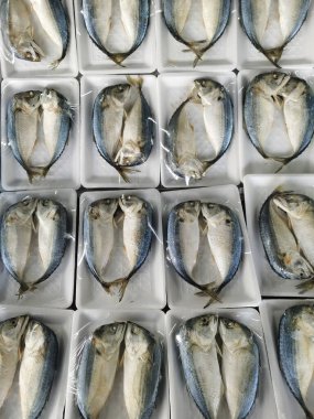 Taze uskumrular (Decapterus) ıslak pazarda satılık paketler halinde