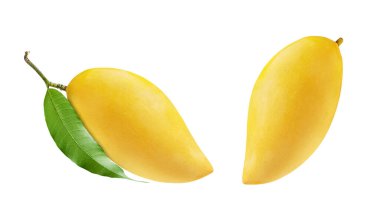 Beyaz arka planda yeşil yapraklı olgun Mango. Clippin