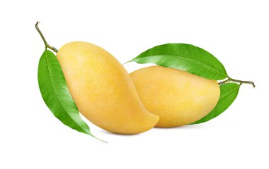 Beyaz arka planda yeşil yapraklı olgun Mango. Clippin