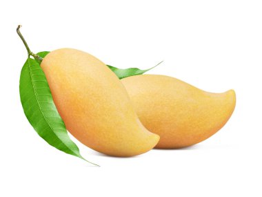 Beyaz arka planda yeşil yapraklı olgun Mango. Clippin