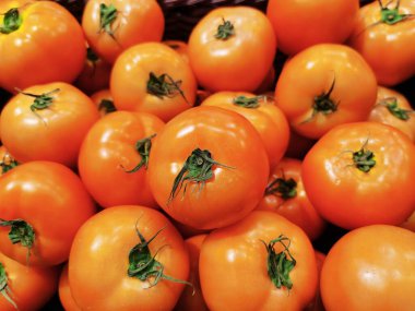 Arka plan için bulanık domatesler