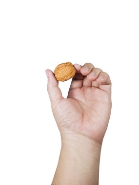 Beyaz arka planda ceviz tutan adam.