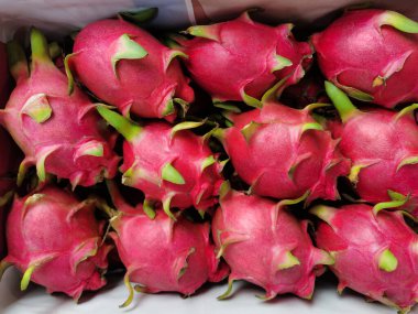 Ejder Meyvesi Pitaya Ejderha Meyvesine Yakın plan.