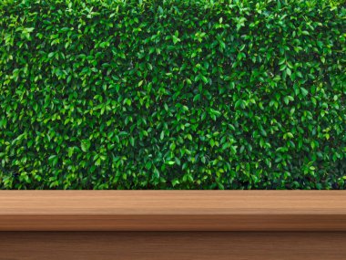 Boş ahşap masa, yeşil çalı arka plan.