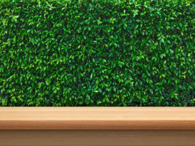 Boş ahşap masa manzarası, yeşil çalı arka plan.