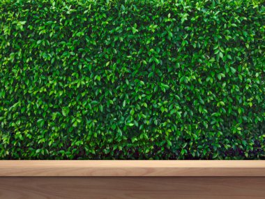 Boş ahşap masa, ürün yerleştirme için yemyeşil çalı arka plan.