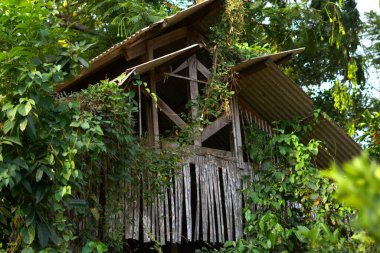 Ormanda terk edilmiş ahşap bir ev.