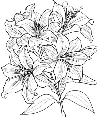 Yetişkinler için Boyama Kitabı Sayfası, Çoklu Satır ve Mandalas ile Zen Renklendirme Kitabı