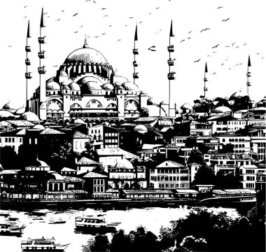 İstanbul 'un Poster İllüstrasyonu, Özü Yakalama