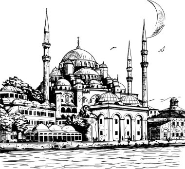 İstanbul Şehri 'nin Siyah ve Beyaz Çizgisi, Ölümsüz Cazibe