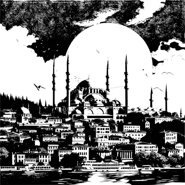 İstanbul 'un Poster İllüstrasyonu, Özü Yakalama