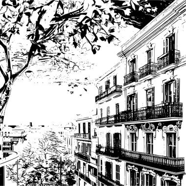 Barselona 'nın Siyah-Beyaz, Göksel Güzellik Rüyası