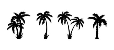 Palmiye ağaçları silueti. Beyaz arka planda izole edilmiş siyah palmiye ağaçları. Posterler için Palmiye Ağaçlarının Tasarımı.