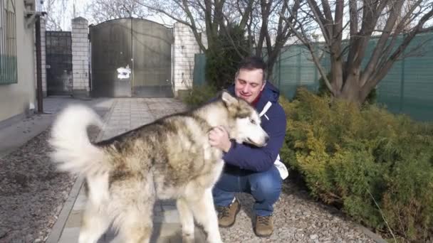 Homem Sorridente Alegre Abraça Com Cachorro Bonito Raça Malamute Alasca — Vídeo de Stock