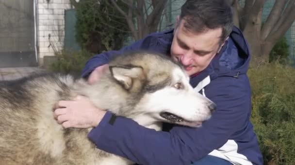 Primer Plano Hombre Acariciando Suavemente Besando Perro Alaska Malamute Aire — Vídeo de stock