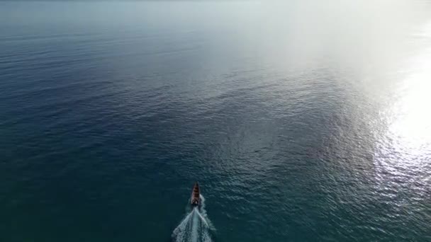 海岸の女性の空中ドローン写真 ウェイバーナーと — ストック動画