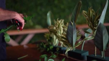 Genç bahçıvan elinde yeşil bir bitki tutuyor.