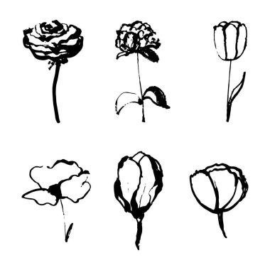 Siyah mürekkep, beyaz arka planda izole edilmiş tek renkli sanatsal botanik çizimler. El çizimi çiçek vektör elementleri. Küçük fırça darbeleri. Lale, gül ve diğer çiçekler tırmanıyor. 