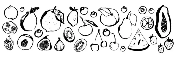 Çizim meyveleri. Çilekli karpuz, şeftalili armut. Muz, nar, limon, ahududu papaya el çizilmiş meyve çileği vektör seti. Meyve, kiraz ve lemo resimleri