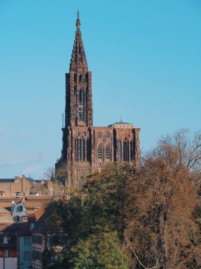 Strasbourg Katedrali, Gotik bir katedral, ayrıntılı bir dış görünüşü ve uzun, kule gibi bir kulesi var. Binanın etrafında ağaçlar var..