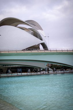 Valencia İspanya Sanat ve Bilim Şehri 'nde Modern Mimarlık. 4 Aralık 2022