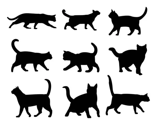 Cat Silhouette Vector Collection Set Logo Typography Decorative Sticker White — Stock Vector