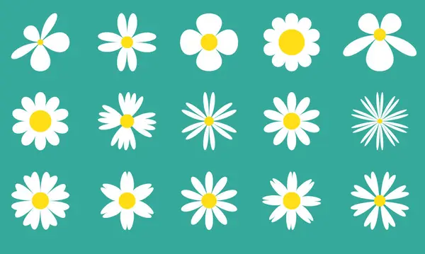 Biała Daisy Zestaw Ikon Kwiatów Rumianku Duży Zestaw Rumianku Cute — Wektor stockowy