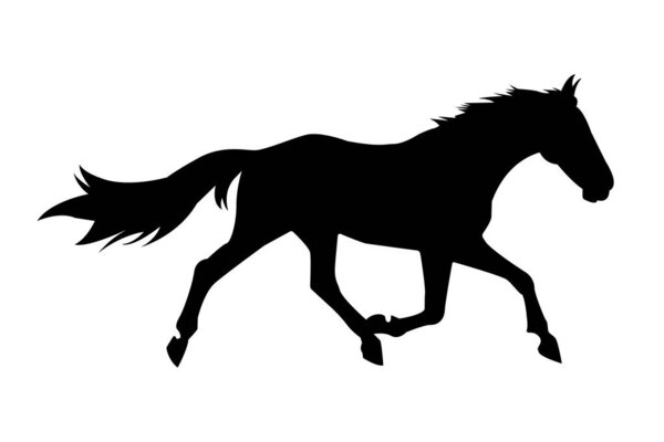 a Horse Silhouette vector icon, Elegant Equine Profile Minimalist Design