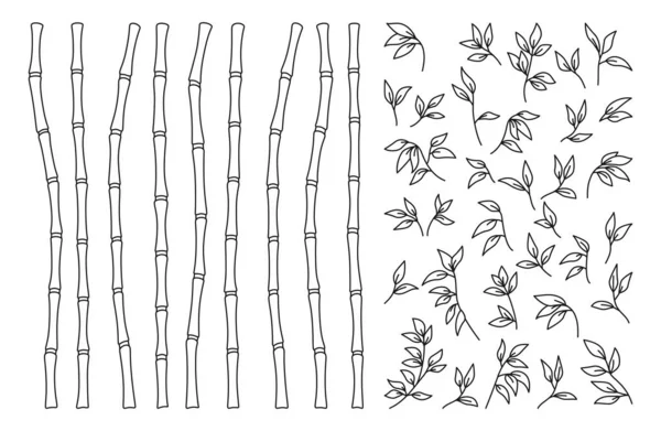 Bamboo Stem Leaves Outline Border Set Exotic Decoration Elements Fresh — 스톡 벡터