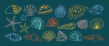 Sea shell sink doodle cartoon set. Ocean ornamental exotic underwater seashell conch aquatic mollusk, sea spiral snail marine starfish line symbol collection. Beach shells aquatic design illustration