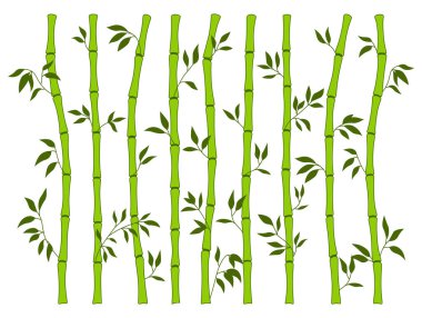 Bambu yeşil sapı ve yaprak kenarı ayarlandı. Egzotik dekorasyon elementleri düz biçimde taze doğal bitki. El çizimi geleneksel Asya ağaç yaprakları ve bambu botanik koleksiyonu
