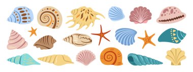 Sea shell, sink cartoon set. Ocean exotic underwater seashell conch aquatic mollusk, sea spiral snail, marine starfish collection. Tropical beach shells nature aquatic water flat design illustration