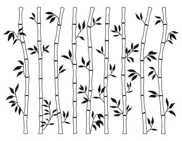 Bamboo Stem Leaf Outline Borders Set Exotic Decoration Elements Fresh — 스톡 벡터