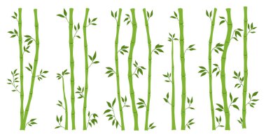 Bamboo green stem bundle and leaf borders set. Exotic decoration elements fresh plant, rain forest greenery flat style. Painted Asian traditional tree leaves and sticks branches bamboo collection