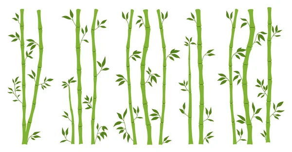 Bamboo Green Stem Bundle Leaf Borders Set Exotic Decoration Elements — 스톡 벡터