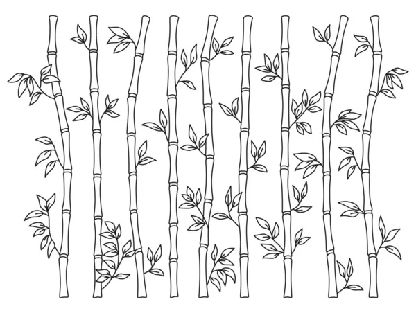 Bamboo Stem Leaf Outline Border Set Exotic Decoration Elements Fresh — 图库矢量图片