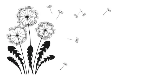 Πικραλίδα Που Φέρουν Σπόρους Μελανιού Σημαία Σιλουέτα Αφηρημένα Λουλούδια Πικραλίδες — Διανυσματικό Αρχείο