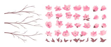 Kiraz çiçeği açan dallar sakura koleksiyonu. Kombinasyon dalları ve çiçek yaprakları için Asya seti. Çiçekli kiraz ağacı dalları, izole pembe çiçekler. Zarif Japon bahar vektör illüstrasyonu