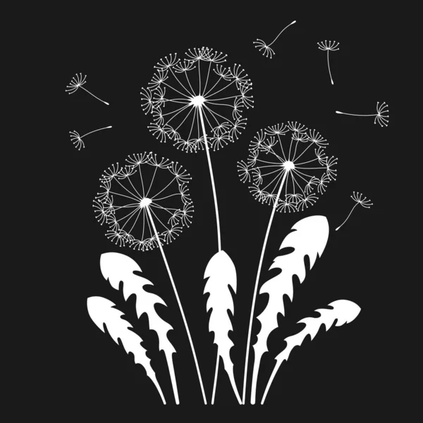 Кульбабаба Літаючим Насінням Вигравірувана Листівка Абстрактні Квіти Кульбаби Стилізовані Рослини Стоковий вектор